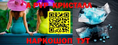 стаф Кингисепп