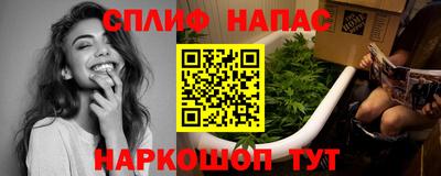 стаф Кингисепп