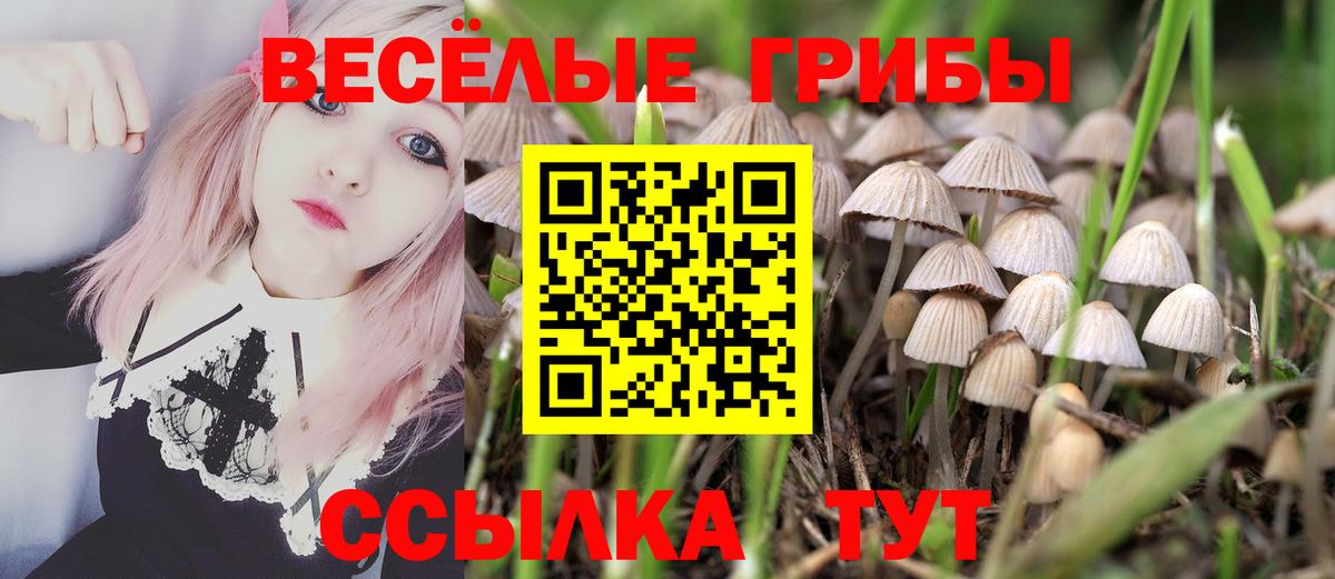 Краснокаменск  наркотики  Вход с VPN  Псилоцибиновые грибы Cubensis 